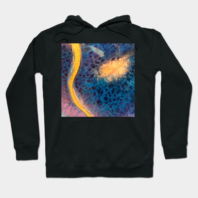 Sunspot Hoodie by eerankin